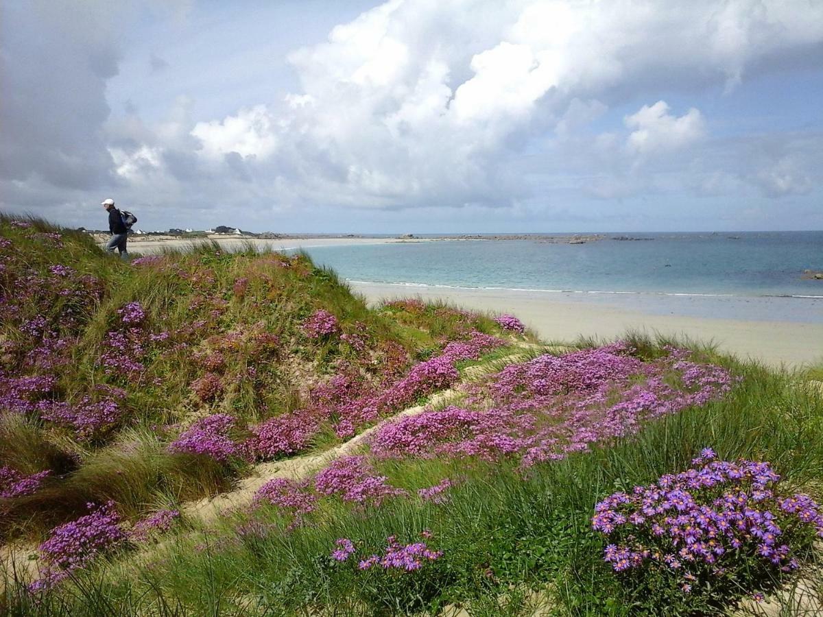 La grange aux lièvres, gîtes Kerdoel Cléder Extérieur photo